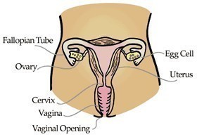 Very low testosterone levels symptoms