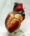 cardiovascular disease definition