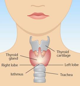 Hypothyroid Symptoms
