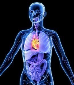 Cardiovascular Disease Signs and Symptoms