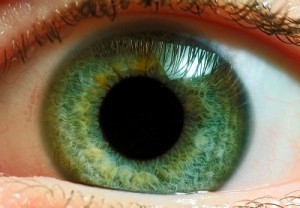 Eye Disease Symptoms
