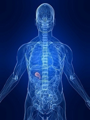 Gallbladder Pain