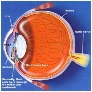 Symptoms of Glaucoma