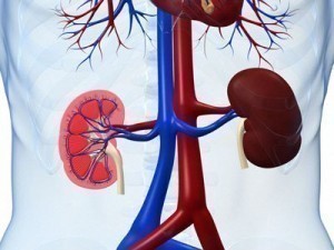Kidney Infection Symptoms