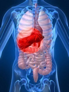 Symptoms of Liver Diseases