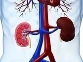 What Causes Low Creatinine Levels?