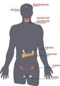 Menopause Symptoms