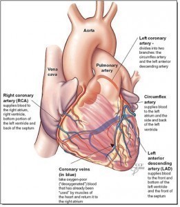 Myocardial Ischemia Symptoms