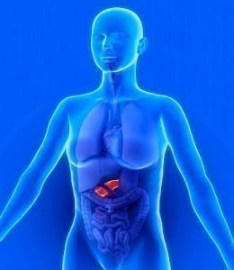 Symptoms of Pancreas Problems