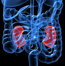 Polycystic Kidney Disease