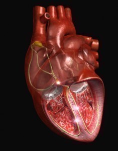 Rheumatic Disease