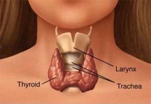 Symptoms of Thyroid Problems