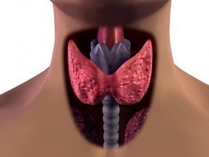 Thyroid Disease Symptoms