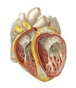 Valvular Heart Disease