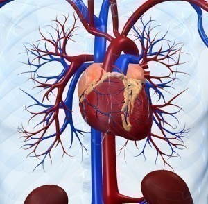 Inflammatory Heart Disease