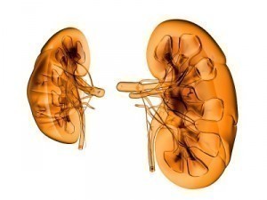 Treatment for Kidney Stones